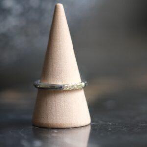 zilver en gouden ring