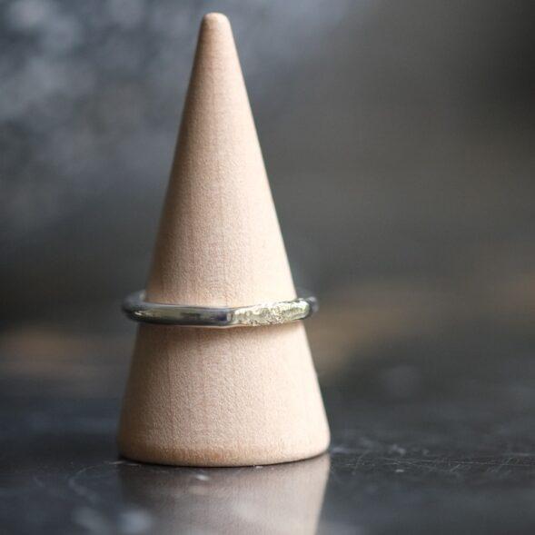 zilver en gouden ring